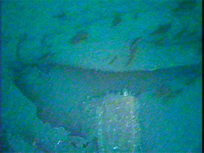 Another propeller blade